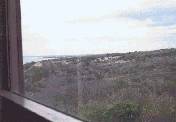View from the bathroom window.