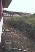 Right side of the house.